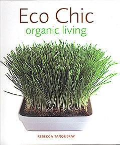 Eco Chic