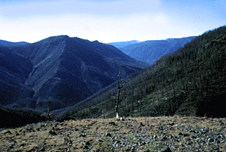 The view from the rim of Mist Creek Valley.