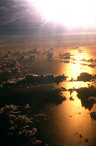 Pacific Sunrise