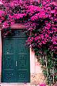 bougainvilleadoor.jpg